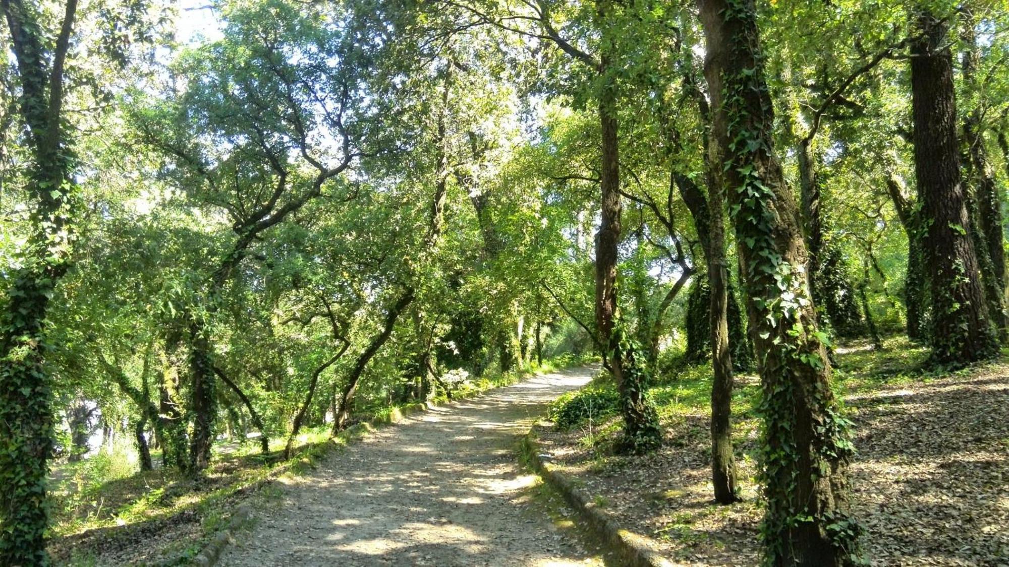 Covelo Apartment Porto Dış mekan fotoğraf